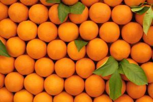 Калорийность апельсина, полезные свойства - Полезные свойства апельсинов