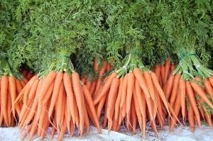  - Калорийность моркови, полезные свойства