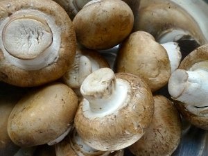 Калорийность продуктов - Калорийность грибов, полезные свойства