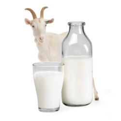 Сыроедение можно ли есть молочные продукты
